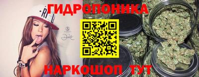 мяу мяу мука Тулун