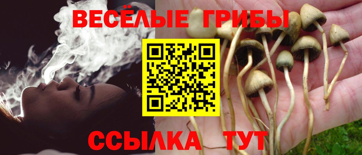Псилоцибиновые грибы Psilocybine cubensis Первоуральск